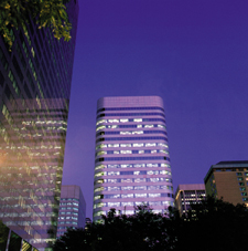 Iluminating Engineer